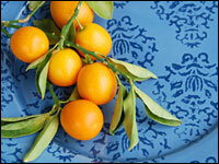 Meiwa kumquat recipes salad Meiwa kumquat recipes salad