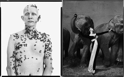 Richard Avedon\u0027s Fashion Photography The Picture Show NPR