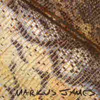 Markus James, Snakeskin Violin