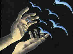 Helio Sequence art 300