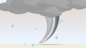  (NPR)