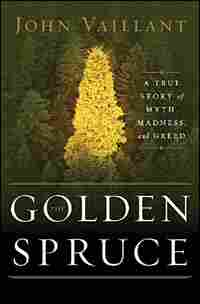 'The Golden Spruce' cover