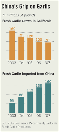 Graphic: China's Grip on Garlic