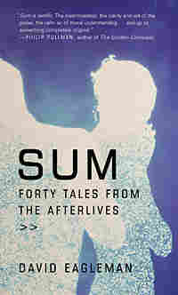 Cover of 'Sum: Forty Tales from the Afterlives'