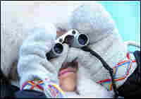 Woman bundled up for bitter cold