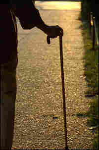 Detail of an elderly person's hand on a cane, with a street visible in the foreground.
