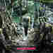 cover for living bridge
