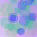 cover for bloom
