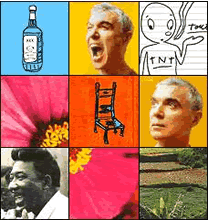 Lucinda Williams, Tortoise, David Byrne