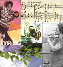 All Songs Considered show image