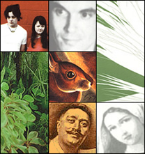 The White Stripes, Bartok on accordion, Talking Heads