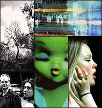 Nickel Creek, Turtle Island String Quartet, Joy Division