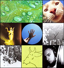 Ry Cooder, Sigur Ros, Pearl Jam