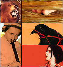 The Best CDs of 2003