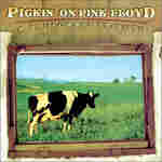 Pickin' On Floyd