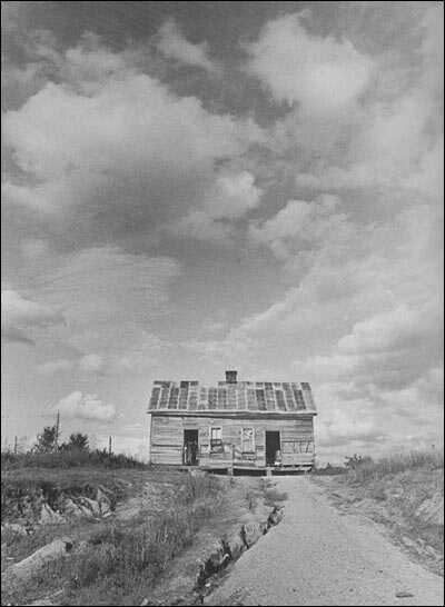 Tarpaper Shack