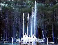 The Diet Coke and Mentos Experiments by Fritz Grobe and Stephen Voltz.