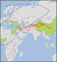 A map of the spread of bird flu.