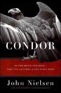 'Condor: To the Brink and Back -- The Life and Times of One Giant Bird'