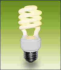 A compact fluorescent light bulb