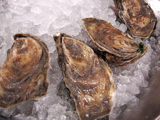 Exploring The Geography Glories Of Oysters NPR