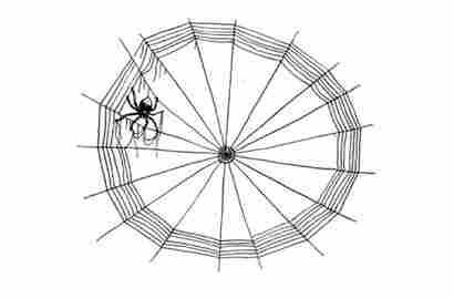 Illustration from Charlotte's Web