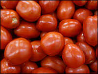 Salmonella Scare Hurts Calif. Tomato Growers : NPR