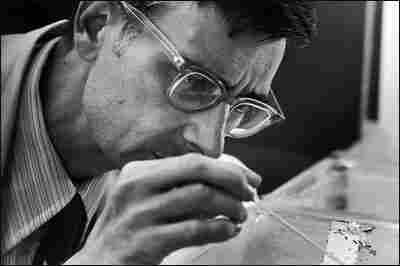E.O. Wilson