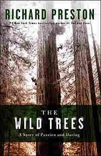 Book cover of 'The Wild Trees' by Richard Preston