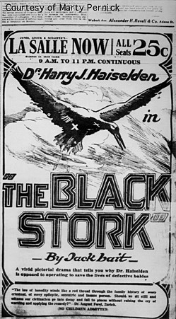 Near full page newspaper ad for The Black Stork at the LaSalle Theater. A spread winged black stork flies through the air over the title..