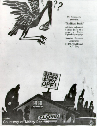 Water color of a black stork with a baby, flying over a home with boarded up windows and a sign on the roof reading "Black Stork Stay Off".
