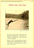 Click for fullsize image and description