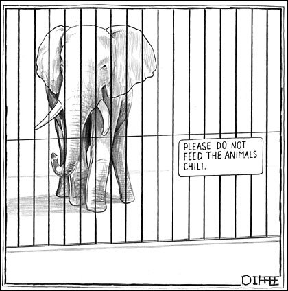 cartoonist matthew diffee making