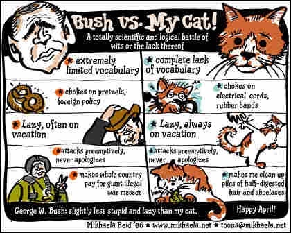 'Bush vs. My Cat'