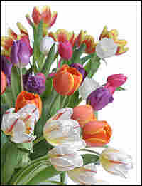 Bouquet of pastel flowers.
