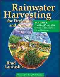 'Harvesting Rainwater'