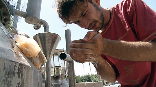 Azizi looks at cedar oil coming out of his distillery.