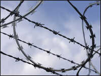 Barbed Wire