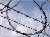 Barbed Wire
