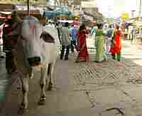 Street scene in Vrindavan