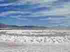 Robert Smithson's "Spiral Jetty"