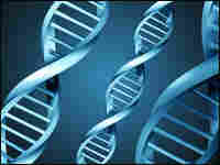 DNA