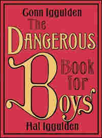 Book Cover: Dangerous Book for Boys