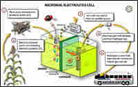 Graphic showing how new hydrogen extraction method works.