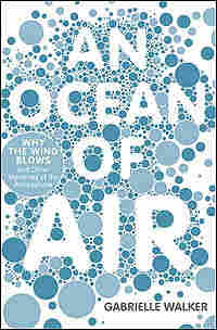 'An Ocean of Air' Book Cover