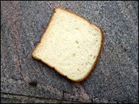 dig a hole to china try a sandwich instead krulwich wonders npr