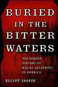 Buried in the Bitter Waters jacket image