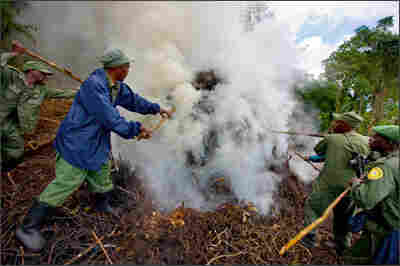 An illegal charcoal kiln is dismantled by rangers and U.N. troops.